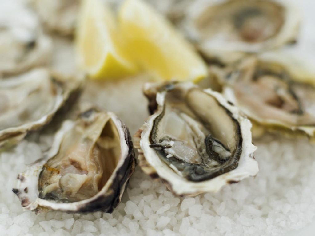 Tourisme de découverte économique pêche conchyliculture