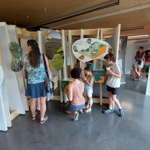 Exposition itinérante sur les forêts du Haut Jura