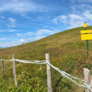 Structuration des activités de pleine nature de Saint-François-Longchamps